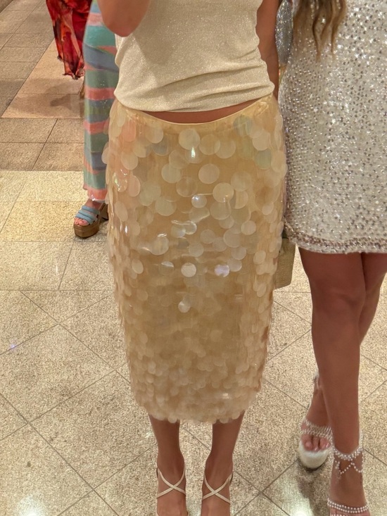 Retrofete Dresses & Skirts - Retrofete Champagne Sequin Midi Skirt